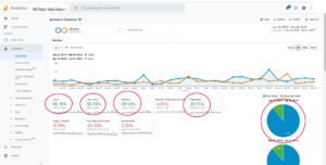 Google Analytics screenshot - San Antonio Web Design