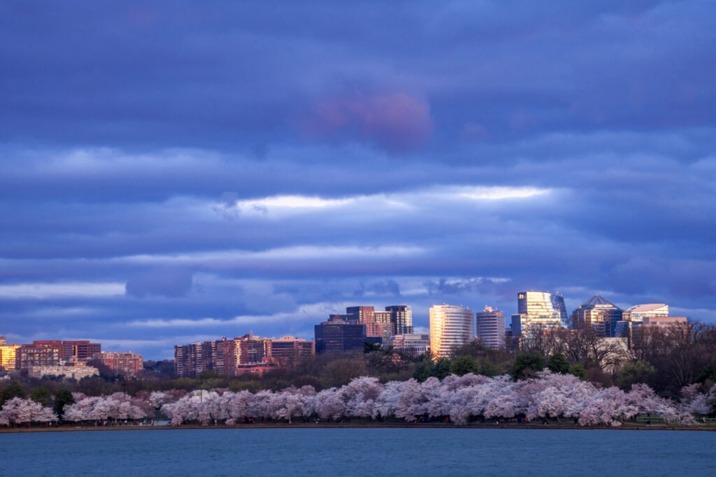 Arlington VA Web Design