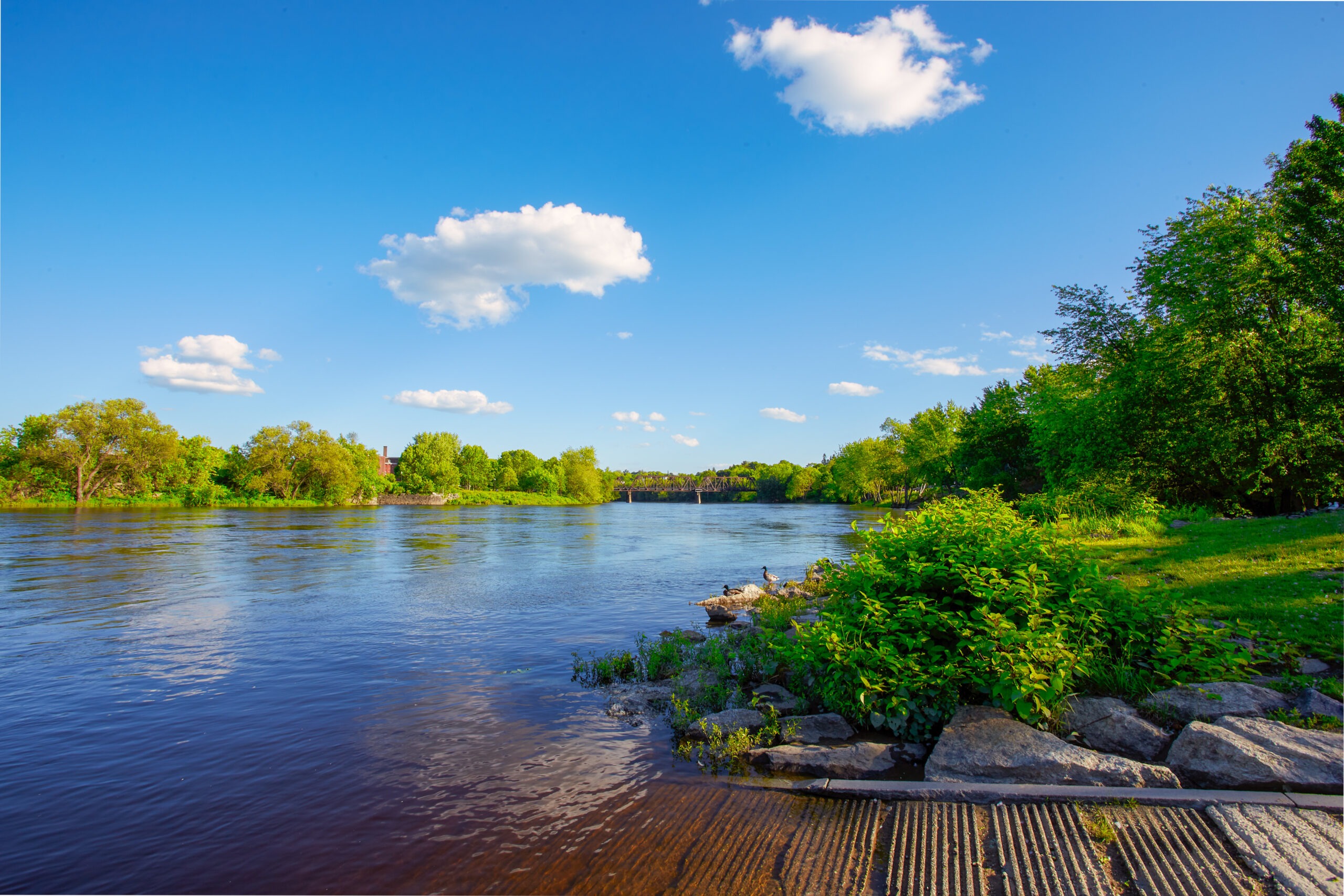 Auburn ME Web Design