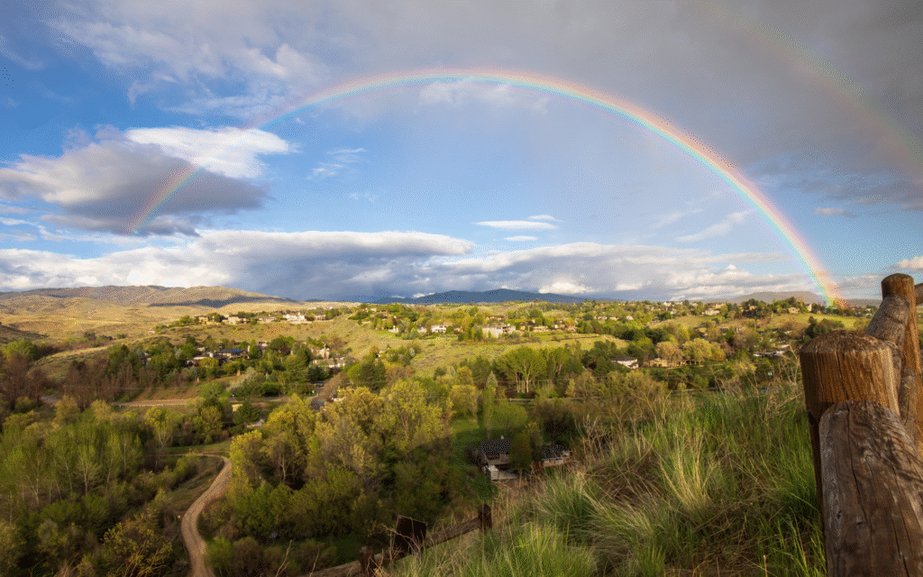 Boise ID Web Design