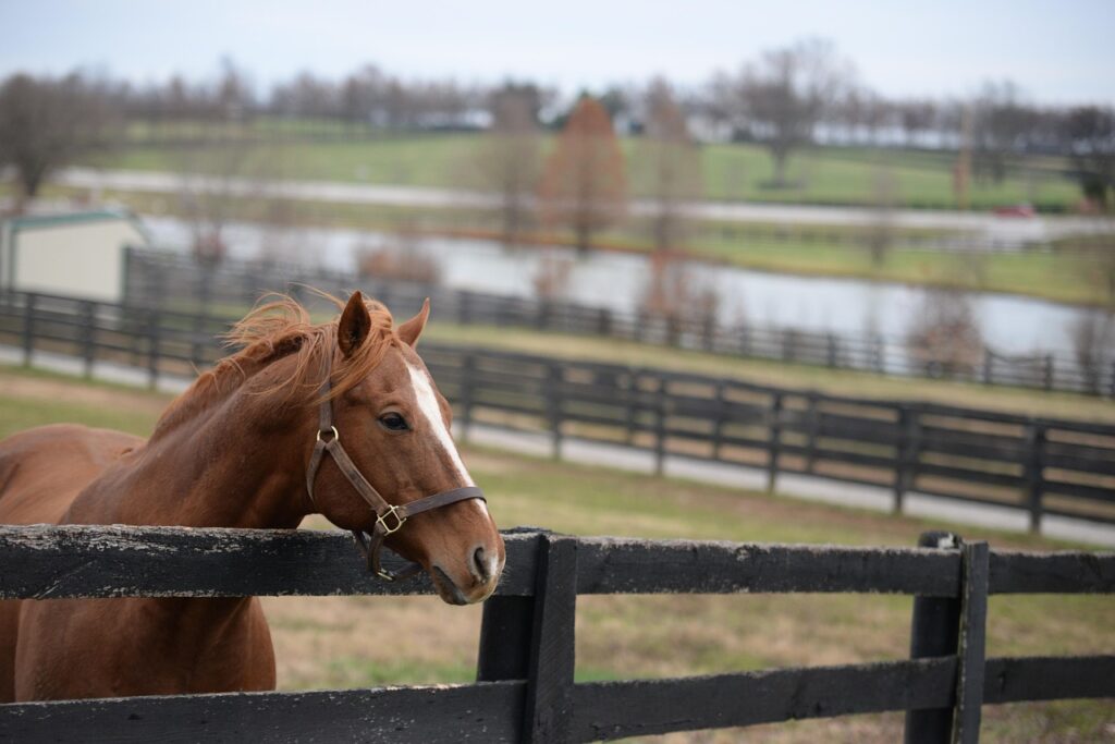 Bowling Green KY Web Design